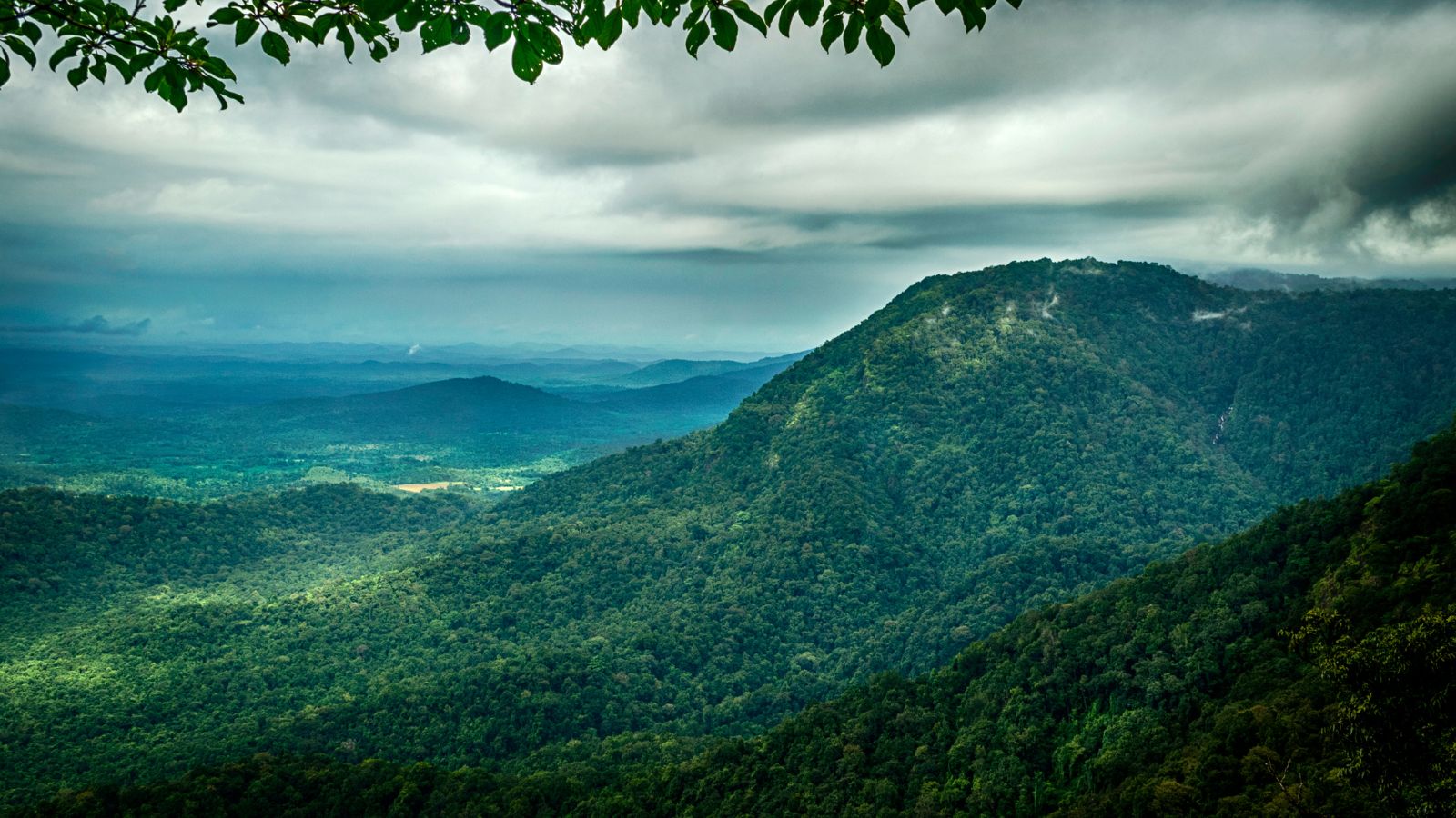 agumbe The Cherrapunji of the South must visit place