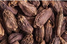 Black Cardamom: ಕಪ್ಪು  ಏಲಕ್ಕಿಯನ್ನು ಹೀಗೆ ತಿಂದ್ರೆ ಅನೇಕ ಆರೋಗ್ಯ ಸಮಸ್ಯೆಗಳಿಗೆ ಪರಿಹಾರ ಸಿಗುತ್ತೆ