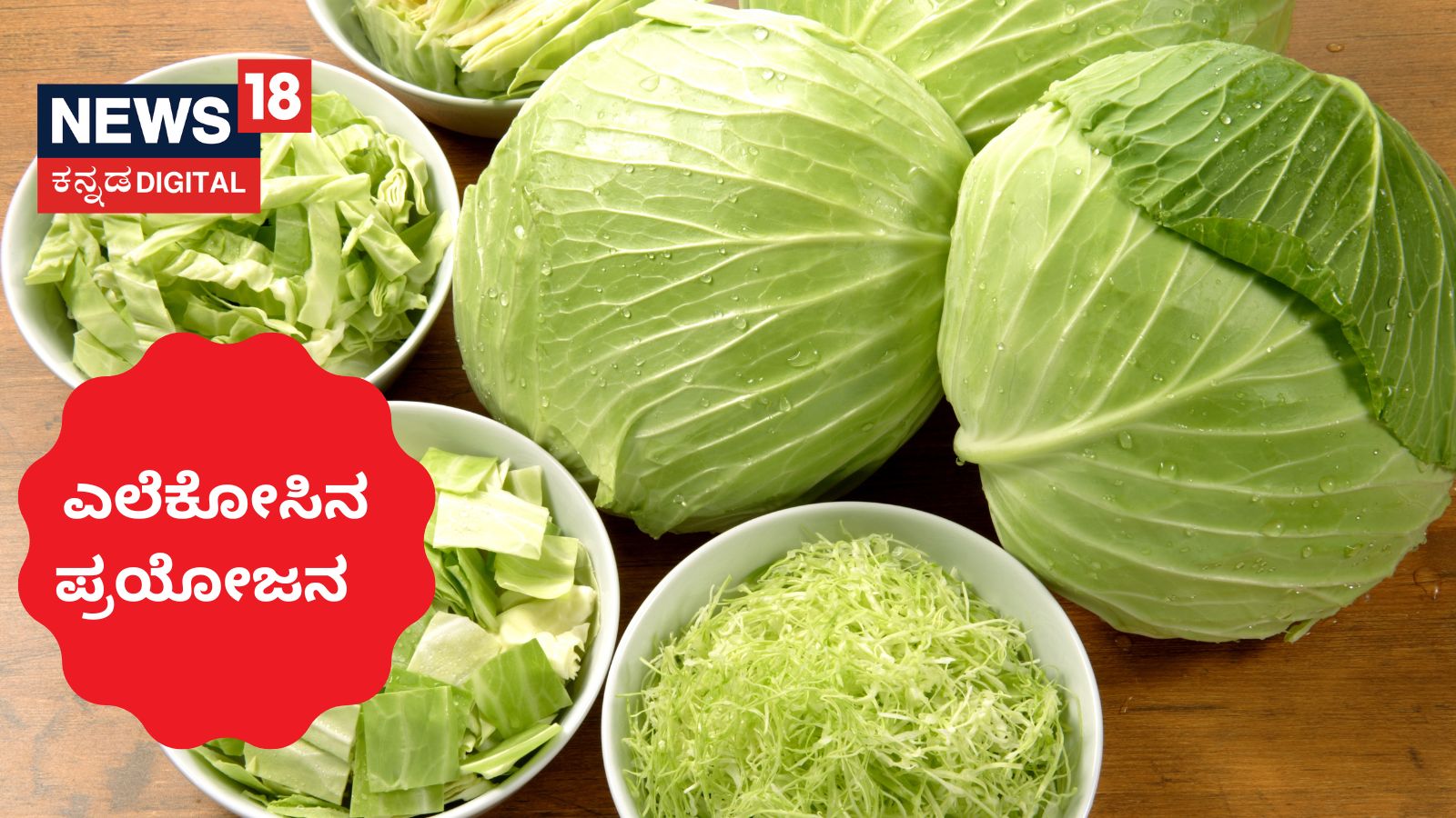 Cabbage Benefits ಚಳಿಗಾಲದಲ್ಲಿ ಎಲೆಕೋಸು ತಿಂದ್ರೆ ಕ್ಯಾನ್ಸರ್ ಹತ್ತಿರವೂ