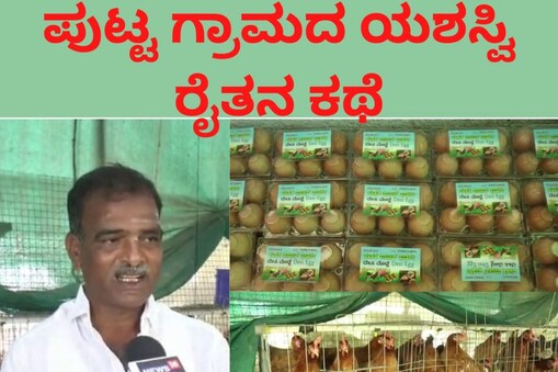 ವಿರೂಪಾಕ್ಷಪ್ಪ ಗೌಡ, ಕೋಳಿ ಸಾಕಾಣಿಕೆಯಲ್ಲಿ ಯಶಸ್ಸು ಕಂಡವರು