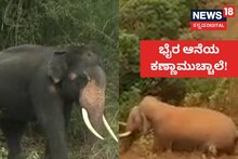 Bhaira Elephant: ಅರಣ್ಯ ಇಲಾಖೆ-ಜನರ ನಡುವೆ 'ಆನೆ' ಕದನ! ಭೈರನ ವಿಚಾರದಲ್ಲಿ ಭಾರೀ ಅನುಮಾನ