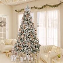 Christmas Tree: ಕ್ರಿಸ್‌ಮಸ್ ಟ್ರೀ ಕಲರ್ ಕಲರ್ ಯಾಕಾಗಿರುತ್ತೆ? ಇದರ ಹಿಂದಿದ್ಯಂತೆ ಮಹತ್ವದ ಕಾರಣ