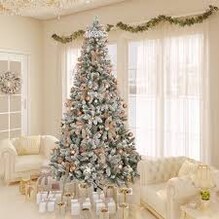 Christmas Tree: ಕ್ರಿಸ್ಮಸ್ ಟ್ರೀ ಕಲರ್ ಕಲರ್ ಯಾಕಾಗಿರುತ್ತೆ? ಇದರ ಹಿಂದಿದ್ಯಂತೆ ಮಹತ್ವದ ಕಾರಣ Christmas Tree: ಕ್ರಿಸ್ಮಸ್ ಟ್ರೀ ಕಲರ್ ಕಲರ್ ಯಾಕಾಗಿರುತ್ತೆ? ಇದರ ಹಿಂದಿದ್ಯಂತೆ ಮಹತ್ವದ ಕಾರಣ