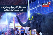 ಕುಕ್ಕೆ ಸುಬ್ರಹ್ಮಣ್ಯದಲ್ಲಿ ನೀರಾಟ ಆಡಿ ಖುಷಿಗೊಂಡ ಆನೆ; ಜಾತ್ರೆ ಸಂಪನ್ನ