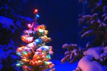 Christmas Tree: ಕ್ರಿಸ್ಮಸ್ ಟ್ರೀ ಅಲಂಕಾರದ ಇಂಟರೆಸ್ಟಿಂಗ್ ಕಹಾನಿ, ಇಲ್ಲಿದೆ ನೋಡಿ ಕತೆ Christmas Tree: ಕ್ರಿಸ್ಮಸ್ ಟ್ರೀ ಅಲಂಕಾರದ ಇಂಟರೆಸ್ಟಿಂಗ್ ಕಹಾನಿ, ಇಲ್ಲಿದೆ ನೋಡಿ ಕತೆ