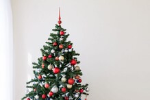 Christmas Tree: ಕ್ರಿಸ್ಮಸ್ ಟ್ರೀ ಅಲಂಕಾರ ಮಾಡೋಕೆ ಮಸ್ತ್ ಐಡಿಯಾ ಇಲ್ಲಿದೆ ನೋಡಿ Christmas Tree: ಕ್ರಿಸ್ಮಸ್ ಟ್ರೀ ಅಲಂಕಾರ ಮಾಡೋಕೆ ಮಸ್ತ್ ಐಡಿಯಾ ಇಲ್ಲಿದೆ ನೋಡಿ