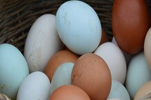 Eggs Prices: ದೇಶದಲ್ಲಿ ಮೊಟ್ಟೆ ಬೆಲೆ ಏರಿಕೆಗೆ ಅಸಲಿ ಕಾರಣವೇನು?
