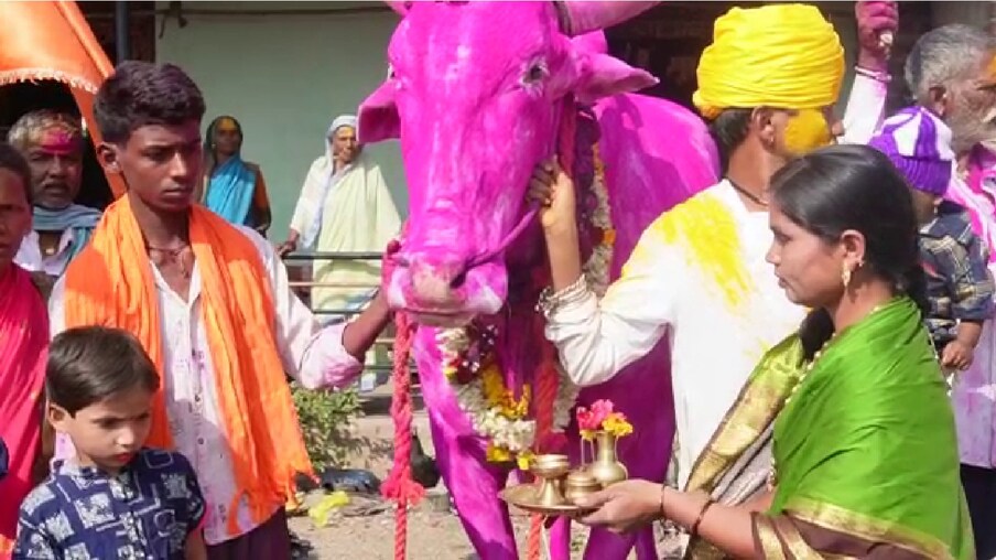  ಕೃಷಿಯಲ್ಲಿ ಆಧುನಿಕ ತಂತ್ರಜ್ಞಾನ ಅಳವಡಿಸಿಕೊಳ್ಳುವುದರ ಜತೆಗೆ ಜಾನುವಾರುಗಳತ್ತ ಗಮನ ಹರಿಸಿದರೆ ಲಕ್ಷಗಟ್ಟಲೆ ಆದಾಯ ಗಳಿಸಬಹುದು ಎಂಬುದನ್ನು ರೈತರು ಸಾಬೀತು ಮಾಡುತ್ತಿದ್ದಾರೆ.