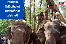 Kodagu: ಕಾಡಾನೆ-ಸಾಕಾನೆ ಸರ್ಕಸ್! ಕೊಡಗಿನಲ್ಲಿ ಹೀಗೊಂದು ಹಗ್ಗಜಗ್ಗಾಟ