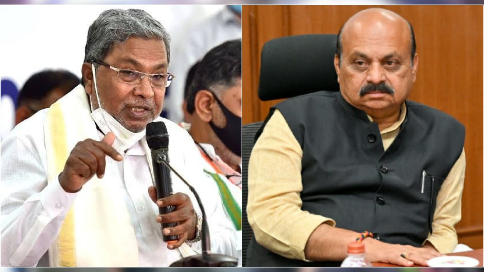 explained All You want Know about Siddaramaiah puppy jibe sns– News18 ...