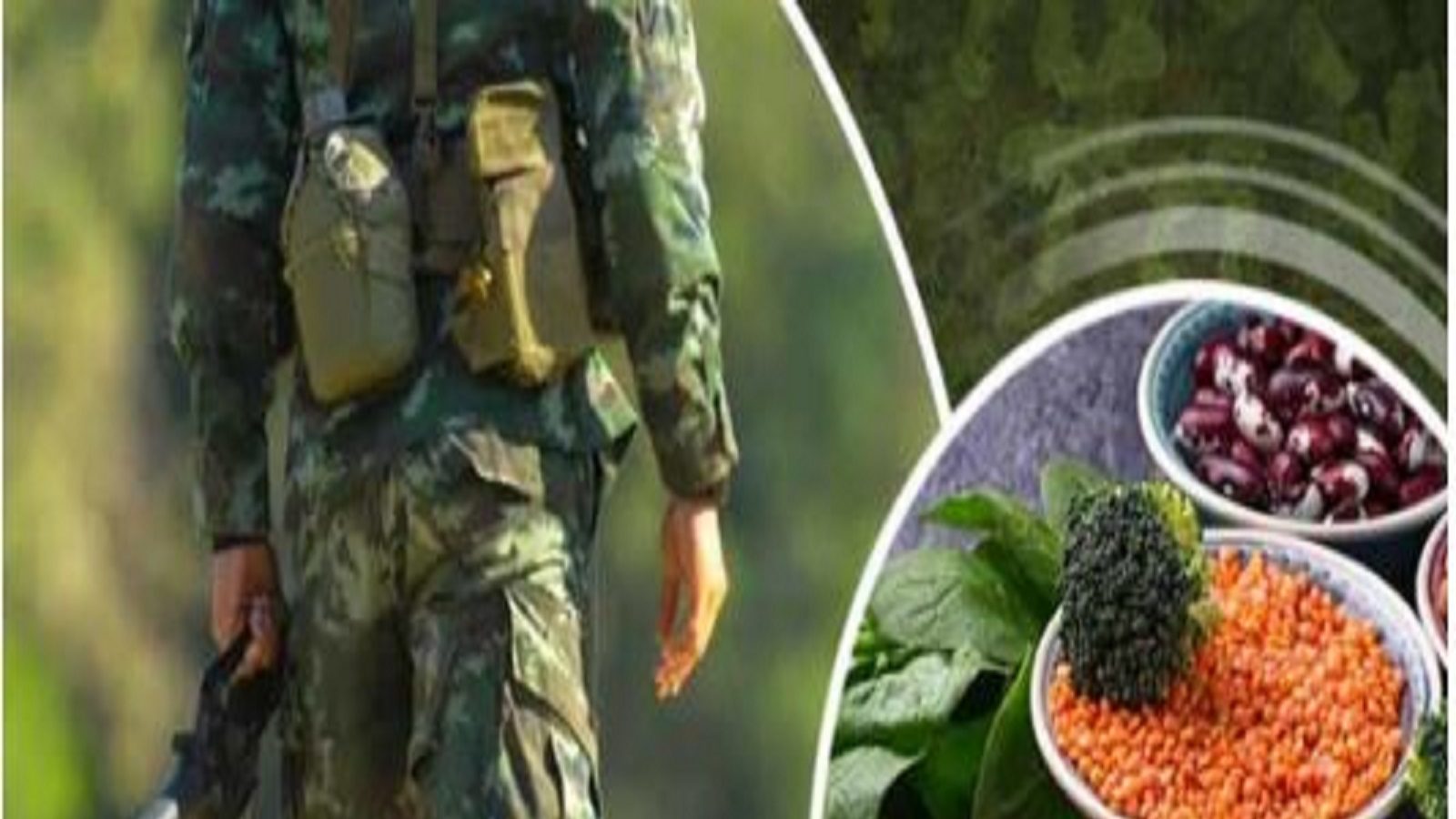 Army Diet: ಭಾರತೀಯ ಯೋಧರ ಸದೃಢ ಆರೋಗ್ಯಕ್ಕೆ ಈ ಆಹಾರ ಪದ್ಧತಿ ಫಾಲೋ ಮಾಡ್ತಾರಂತೆ ...