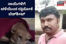 ನಾಯಿಗಳಿಗೂ ಬೇಕು ಆಸರೆ, ಚಳಿಯಿಂದ ರಕ್ಷಿಸೋಕೆ ಬೆಡ್ಶೀಟ್ ರಕ್ಷಣೆ ನಾಯಿಗಳಿಗೂ ಬೇಕು ಆಸರೆ, ಚಳಿಯಿಂದ ರಕ್ಷಿಸೋಕೆ ಬೆಡ್ಶೀಟ್ ರಕ್ಷಣೆ