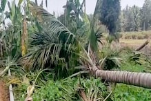Land Dispute: ವೃದ್ಧೆ ನೆಟ್ಟಿದ್ದ 84 ತೆಂಗಿನ ಮರ ಉರುಳಿಸಿದ ದುಷ್ಕರ್ಮಿಗಳು, ಪ್ರಶ್ನಿಸಿದವರಿಗೆ ಆವಾಜ್! Land Dispute: ವೃದ್ಧೆ ನೆಟ್ಟಿದ್ದ 84 ತೆಂಗಿನ ಮರ ಉರುಳಿಸಿದ ದುಷ್ಕರ್ಮಿಗಳು, ಪ್ರಶ್ನಿಸಿದವರಿಗೆ ಆವಾಜ್!