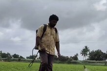 ಕಡು ಬಿಸಿಲಿನಿಂದ ನಿಮ್ಮ ಬೆಳೆಯನ್ನು ಹೀಗೆ ರಕ್ಷಣೆ ಮಾಡಿಕೊಳ್ಳಿ!