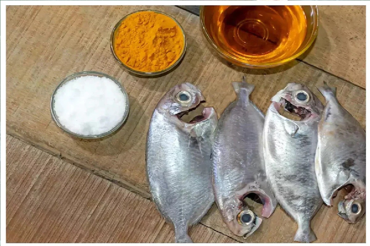 ಮೀನು ಬೇಯಿಸುವ ಮುಂಚೆ ಉಪ್ಪುಅರಿಶಿನ ಹಚ್ಚೋದು ಯಾಕೆ? ಇದ್ರ ಹಿಂದೆ ಇಂಟರೆಸ್ಟಿಂಗ್