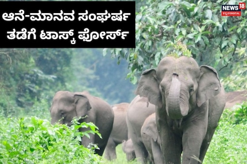 ಸಾಂದರ್ಭಿಕ ಚಿತ್ರ