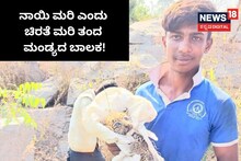 Mandya Viral Video: ನಾಯಿ ಮರಿ ಎಂದು ಚಿರತೆ ಮರಿಯನ್ನು ಮನೆಗೆ ತಂದ ಮಂಡ್ಯದ ಬಾಲಕ!