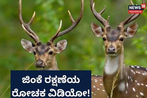 ಇಲ್ಲಿ ವಿಡಿಯೋ ನೋಡಿ