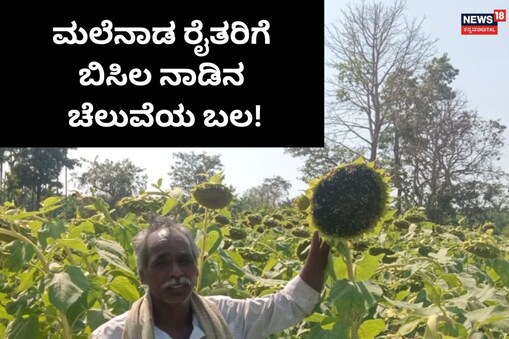 ಇಲ್ಲಿ ವಿಡಿಯೋ ನೋಡಿ