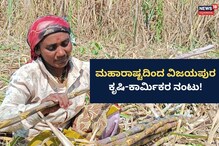Vijayapura: ವಿಜಯಪುರದ ಕೃಷಿಕರಿಗೆ ಮಹಾರಾಷ್ಟ್ರ ಕಾರ್ಮಿಕರ ನೆರವು!