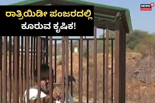 ಇಲ್ಲಿ ವಿಡಿಯೋ ನೋಡಿ