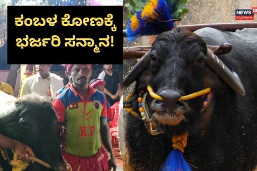 ಇಲ್ಲಿ ವಿಡಿಯೋ ನೋಡಿ