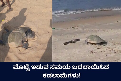 ಇಲ್ಲಿ ವಿಡಿಯೋ ನೋಡಿ