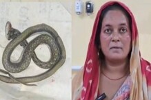 ಬ್ಯಾಗ್​ನಲ್ಲಿ ಹಾವಿಟ್ಟುಕೊಂಡು ಆಸ್ಪತ್ರೆಗೆ ಬಂದ ಬಂದ ಮಹಿಳೆ; ಆಕೆ ಮಾತು ಕೇಳಿ ಬೆಚ್ಚಿಬಿದ್ದ ವೈದ್ಯರು!