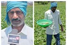 Farmer Success Story: ಸೌತೆಕಾಯಿ ಬೆಳೆಯಲ್ಲಿ ವರ್ಷಕ್ಕೆ 6 ಲಕ್ಷ ಸಂಪಾದಿಸುತ್ತಿದ್ದಾರೆ ಈ ರೈತ