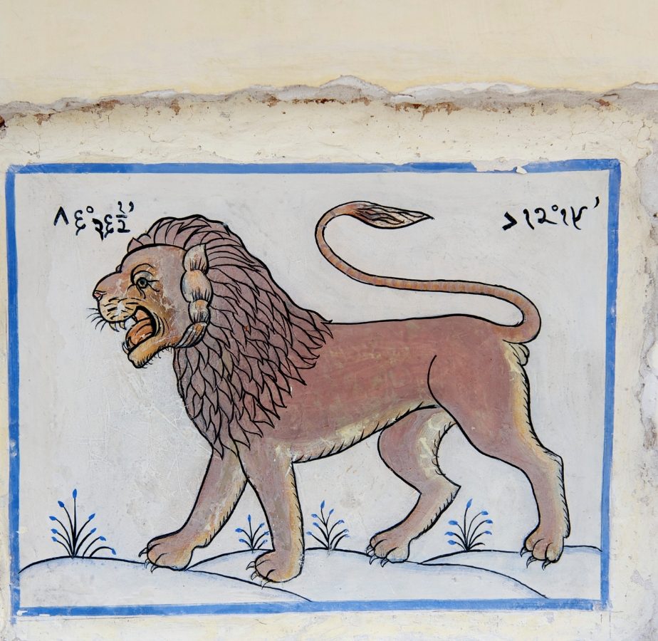 ಶುಭ ಫಲಗಳೇ ಸಿಗಲಿದೆ