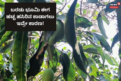 ಇಲ್ಲಿ ವಿಡಿಯೋ ನೋಡಿ