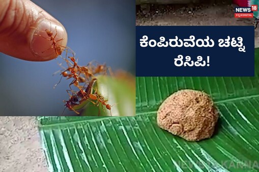 ಇಲ್ಲಿ ವಿಡಿಯೋ ನೋಡಿ