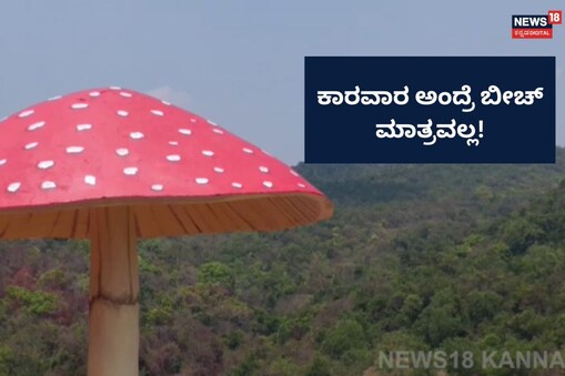 ಇಲ್ಲಿ ವಿಡಿಯೋ ನೋಡಿ