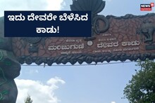 International Day of Forest 2023: ಬರಡು ಭೂಮಿಯೆಂದು ತೆರಿಗೆ ಹಾಕದ ನೆಲದಲ್ಲಿ ಸೃಷ್ಟಿಯಾದ ದೇವರ ಕಾಡು!