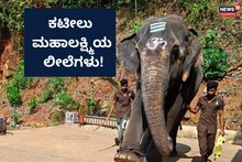 Kateel Elephant: ಕಟೀಲು ಭಕ್ತರಿಗೆ ಬೋನಸ್ ಮಹಾಲಕ್ಷ್ಮಿಯ ಲೀಲೆಗಳು!