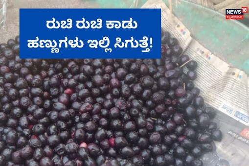 ಇಲ್ಲಿ ವಿಡಿಯೋ ನೊಡಿ