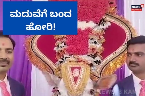 ಇಲ್ಲಿ ವಿಡಿಯೋ ನೋಡಿ