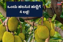 Dakshina Kannada: 4,33,333 ರೂಪಾಯಿಗೆ ಹರಾಜಾದ ಒಂದು ಹಲಸಿನ ಹಣ್ಣು!