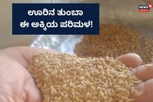 Uttara Kannada: ಈ ಅಕ್ಕಿ ಯಾವ  ಸುಗಂಧ ದ್ರವ್ಯಕ್ಕೂ ಕಡಿಮೆಯಿಲ್ಲ, ಊರೆಲ್ಲ ಪರಿಮಳ ಸೂಸುತ್ತೆ!