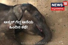 Oscar Elephant: ಆಸ್ಕರ್ ಗೆದ್ದ ಆನೆ ಈ ದಂಪತಿ ಮಡಿಲು ಸೇರಿದ್ದು ಹೇಗೆ? ಇದರ ಹಿಂದಿದೆ ಭಾವುಕ ಕಥೆ!