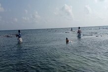 Seaweed: ಜೀವಪಣಕ್ಕಿಟ್ಟು ಕಡಲಕಳೆ ಸಂಗ್ರಹಿಸುವ ಮಹಿಳೆಯರು; ಸಿಗುವುದು ಪುಡಿಗಾಸು, ಲಾಭವೆಲ್ಲ ದಲ್ಲಾಳಿಗಳ ಪಾಲು!