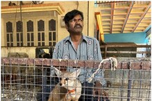 Tumakuru: ಅದೃಷ್ಟ ಕೈಹಿಡಿಯಬೇಕು ಅಂತ ನರಿಯನ್ನು ಸಾಕಿ ಜೈಲು ಪಾಲಾದ ಉದ್ಯಮಿ! Tumakuru: ಅದೃಷ್ಟ ಕೈಹಿಡಿಯಬೇಕು ಅಂತ ನರಿಯನ್ನು ಸಾಕಿ ಜೈಲು ಪಾಲಾದ ಉದ್ಯಮಿ!
