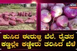ಕುಸಿದ ಈರುಳ್ಳಿ ಬೆಲೆ, ರೈತನ ಕಣ್ಣಲ್ಲೇ ಕಣ್ಣೀರು ತರಿಸಿದ ಬೆಳೆ.