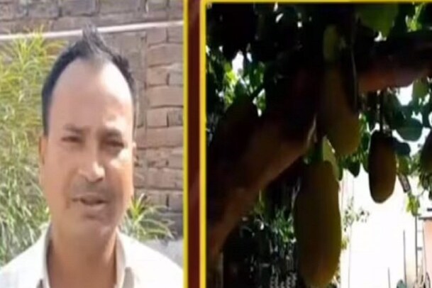 Fruit Business: ಸೀಸನ್​ ಬೆಳೆಯಾದರೂ, ಈ ಹಣ್ಣು ಬೆಳೆದು ಲಕ್ಷ ಲಕ್ಷ ಸಂಪಾದಿಸುತ್ತಿದ್ದಾರೆ ಈ ರೈತ !
