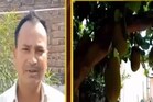 Fruit Business: ಸೀಸನ್​ ಬೆಳೆಯಾದರೂ, ಈ ಹಣ್ಣು ಬೆಳೆದು ಲಕ್ಷ ಲಕ್ಷ ಸಂಪಾದಿಸುತ್ತಿದ್ದಾರೆ ಈ ರೈತ !