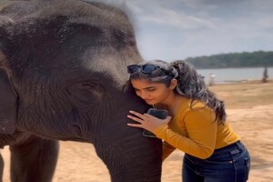 ಸಕ್ರೆಬೈಲ್ ಆನೆ ಶಿಬಿರದಲ್ಲಿ ಸುತ್ತಾಟ ನಡೆಸಿದ ದಿವ್ಯಾ ಉರುಡುಗ-ಅರವಿಂದ್ ಕೆಪಿ