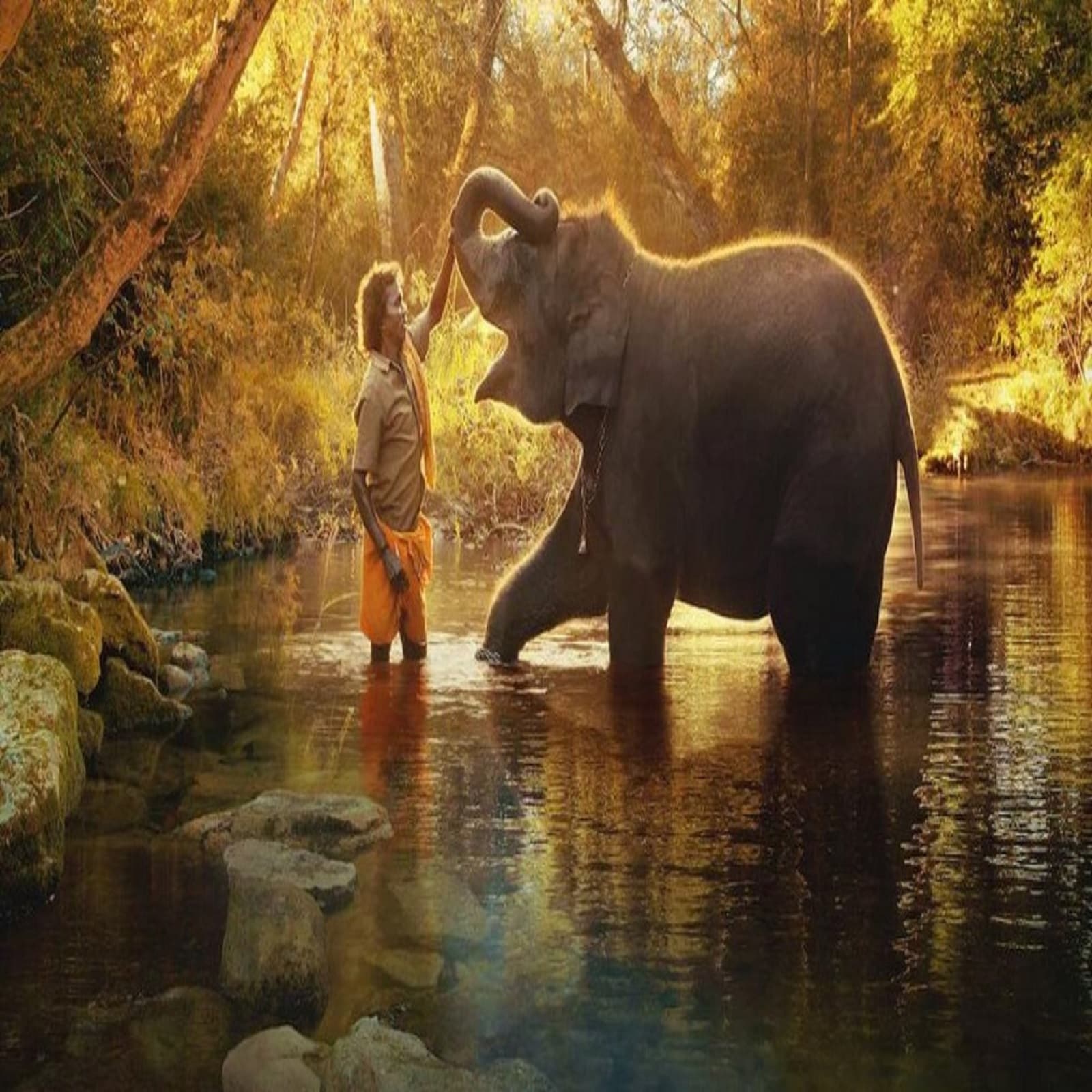 The Elephant Whisperers Wins Oscars 2023 Award Best Documentary Short Film