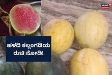 Yellow Watermelon: ಕೆಂಪಲ್ಲ, ಇದು ಹಳದಿ ಕಲ್ಲಂಗಡಿ! ಭರ್ಜರಿ ಲಾಭ ಗಳಿಸಿದ ಮಲೆನಾಡ ಕೃಷಿಕ