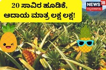 Business Idea: ಕಷ್ಟದಲ್ಲಿ ರೈತರ ಕೈ ಹಿಡಿಯುವ ಕೃಷಿ ಇದು, ವರ್ಷಪೂರ್ತಿ ಬೆಳೆದು ಲಕ್ಷ ಲಕ್ಷ ಹಣ ಗಳಿಸಿ!