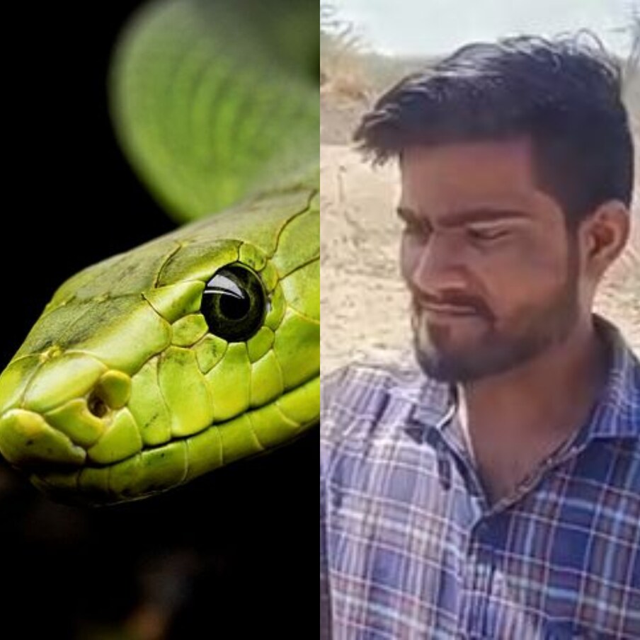  ಹಾವಿ ಎಂದರೆ ಒಂದು ಕ್ಷಣ ಎಲ್ಲರ ಮೈ ನಡುಗುತ್ತದೆ. ಅತ್ಯಂತ ಅಪಾಯಕಾರಿ ನಾಗರಹಾವಿನ ವಿಷಯಕ್ಕೆ ಬಂದರೆ, ಯಾರೂ ಕನಸಲ್ಲೂ ಅದರ ಬಗ್ಗೆ ಆಲೋಚನೆ ಮಾಡಲ್ಲ.